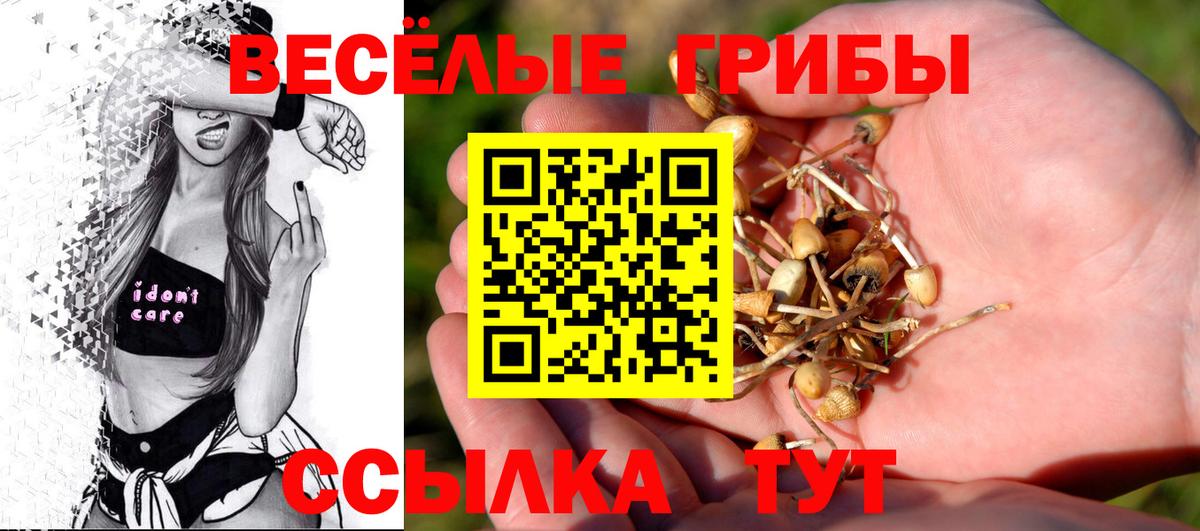 Псилоцибиновые грибы ЛСД Усть-Илимск